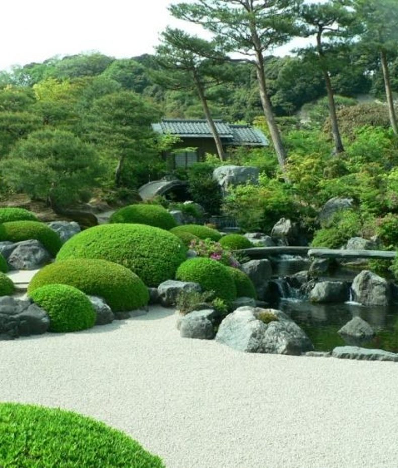 jardin japonais