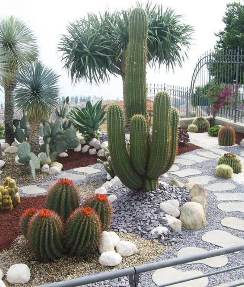 jardin mexicaine